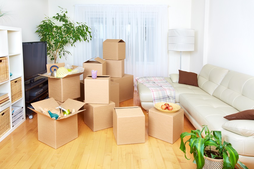 Why Burden Yourself With Responsibility When You Can Hire A Moving Service Instead?